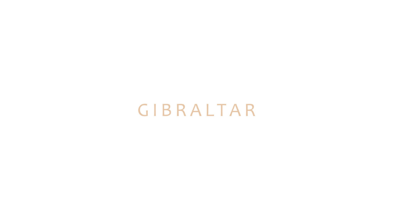 Gibraltar & Company Venture Capital