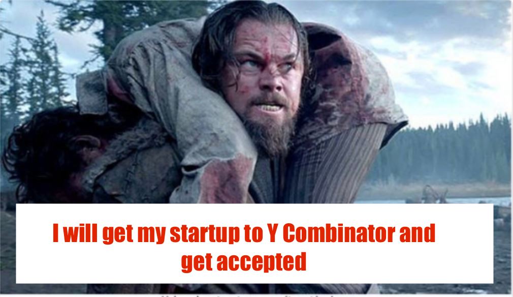 Startup Meme Accelerators